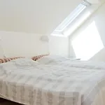 Apartment 6 Person In *
