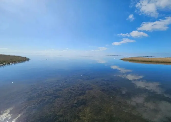 6 Person In Ringkøbing