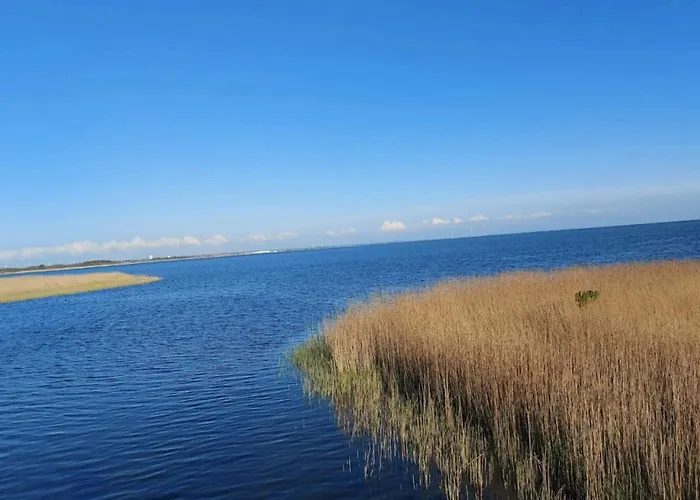 Daire 6 Person In Ringkøbing