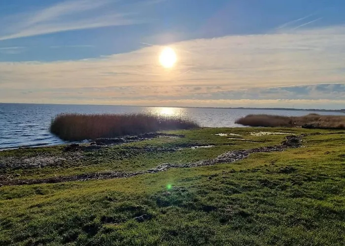 6 Person In Ringkøbing